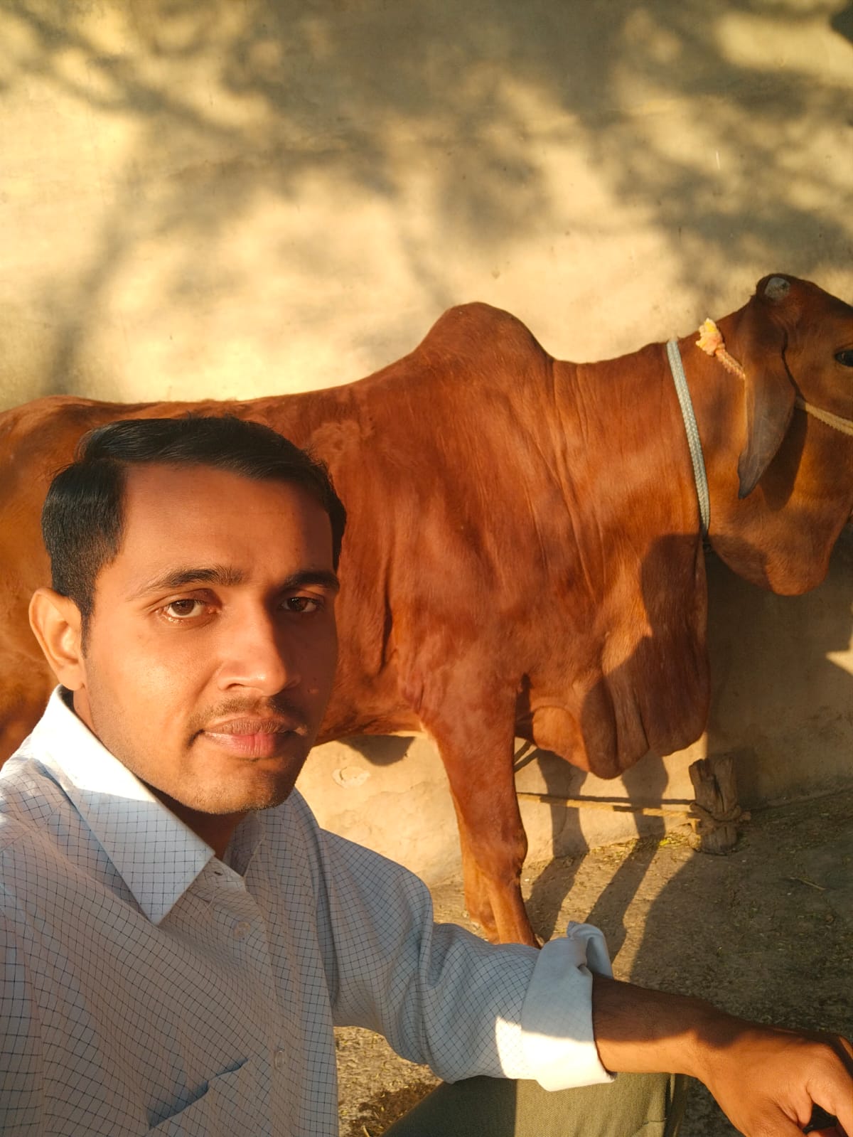 SHIVA MALIK